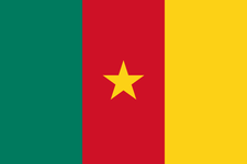 Cameroon Flag