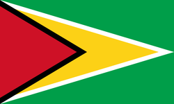 Guyana Flag